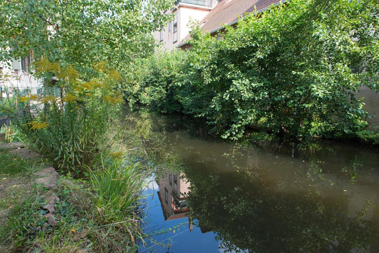 Apartamento Meublé Le Coin Tranquille Saverne Exterior foto